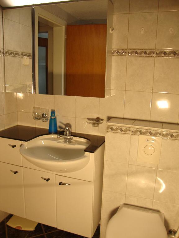 Studio Elsighorn Apartment Frutigen Room photo